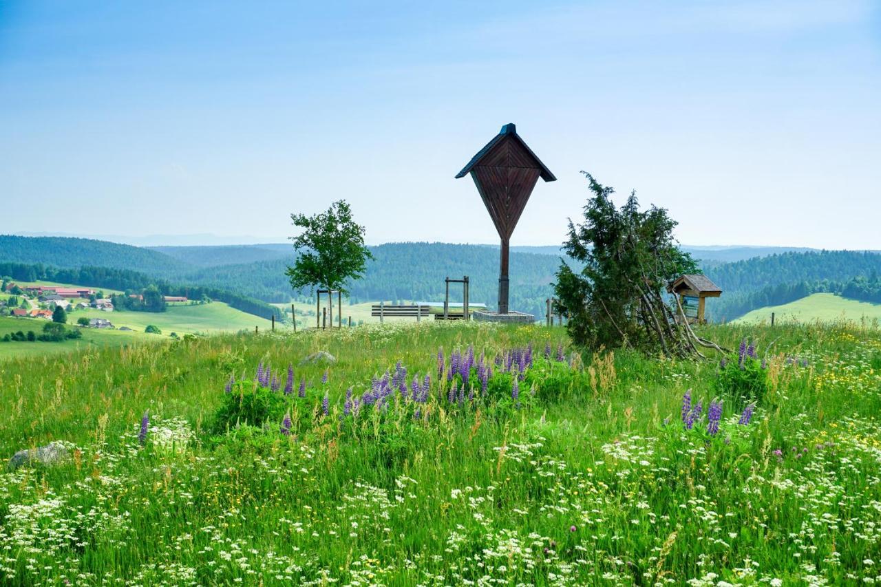 Hubertus Lodge Ibach ภายนอก รูปภาพ